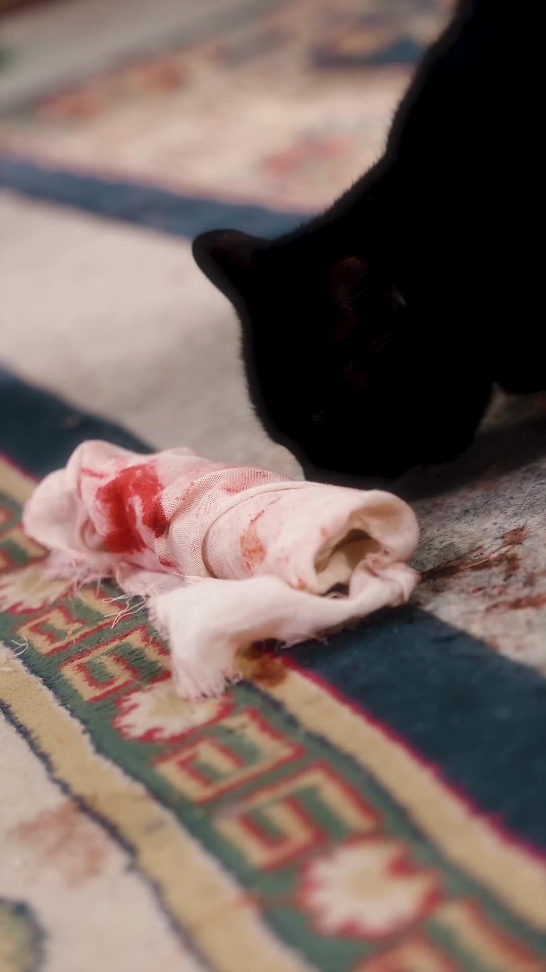 Tập 13 - Cung Đấu và Báo Thù